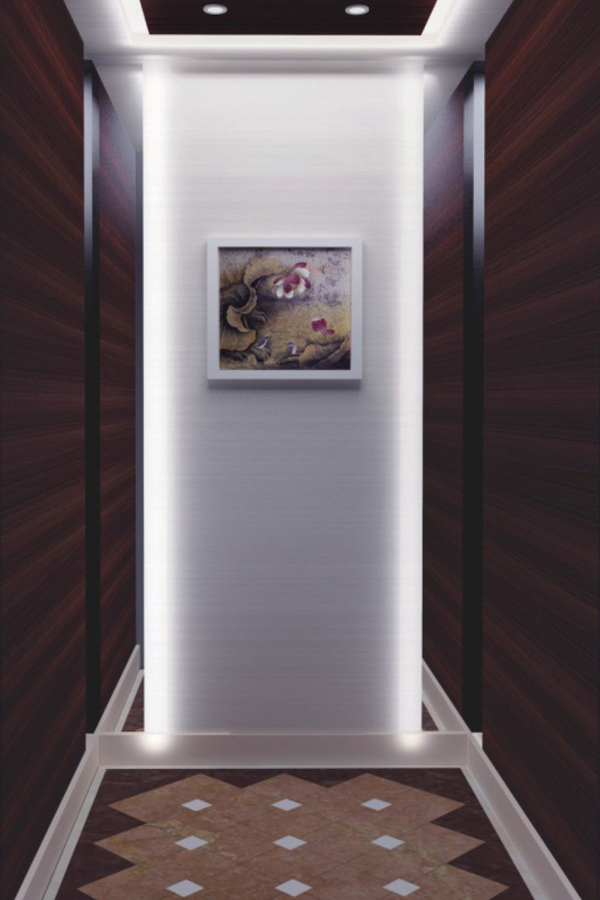 DOER-V33现代简约别墅电梯